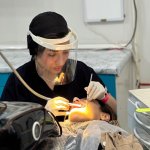 دکتر فرزانه احمدی هارونی دکترای حرفه ای دندانپزشکی