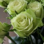 دکتر سکینه الوند کارشناسی مامایی