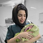 محبوبه محمدی متخصص زنان و زایمان