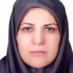 دکتر نازنین شلماشی متخصص زنان و زایمان, دکترای حرفه ای پزشکی