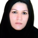 دکتر نیرالسادات طاهری کارشناس ارشد مشاوره مامایی, کارشناسی مامایی