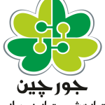 مریم حیدری کاردرمانگر (ارگوتراپیست), ارگونومیست