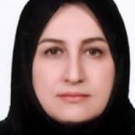 دکتر نیر صفارو متخصص بیماری‌های داخلی, دکترای حرفه‌ای پزشکی