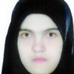 دکتر معظمه میمندی نیابابکی بیماری های داخلی, دکترای حرفه ای پزشکی