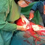 مریم اسلامی جراح و متخصص زنان و زایمان و نازایی دارای بورد تخصصی, دکترای حرفهای پزشکی