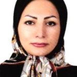 دکتر مینو پورمجیب متخصص زنان و زایمان, دکترای حرفه‌ای پزشکی